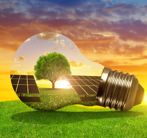 Solegy Power Private Limited - Renewable energy